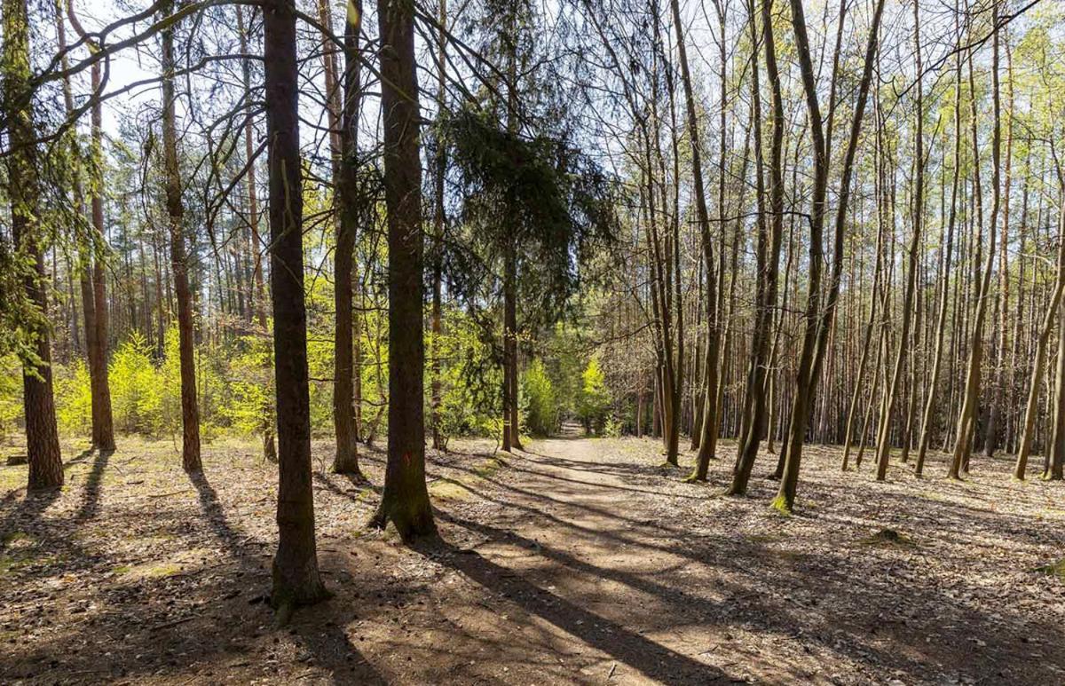 Laskara Garden Apartment By Prague Forest Nové Jirny Extérieur photo